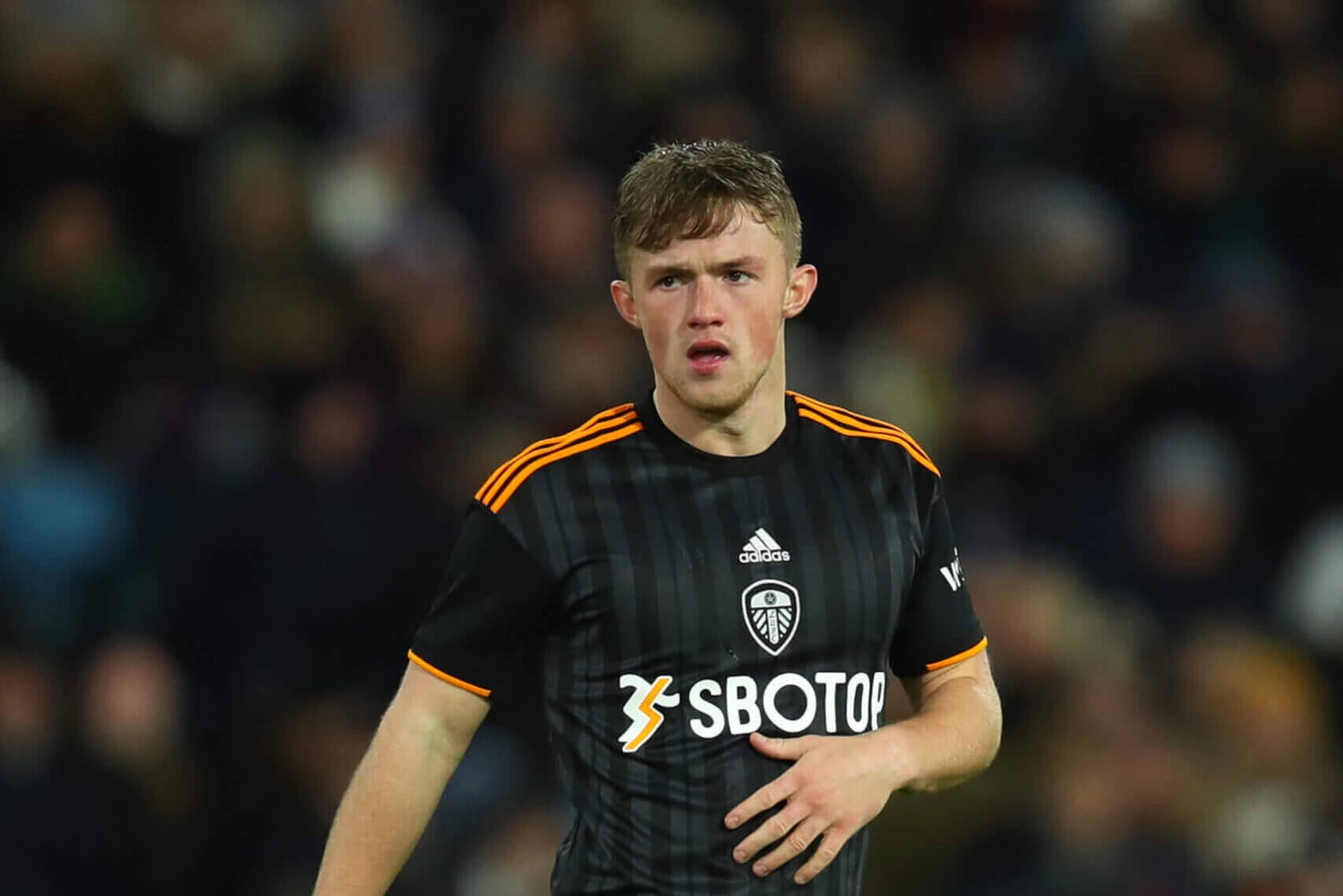 Gelhardt Returns to Hull on Loan from Leeds